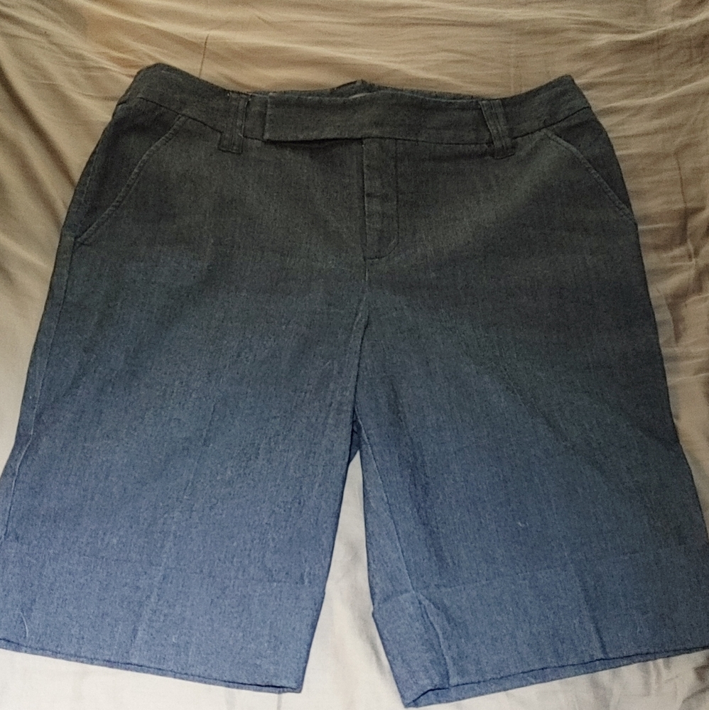 14 Josephine chaus bermuda shorts NWOT